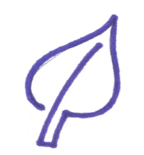 Violettes Blatt _ Strichzeichnung