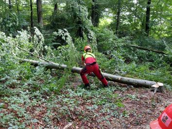 Solothurner Waldtage