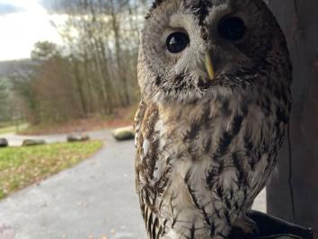 Ausflug 1./2. Klasse